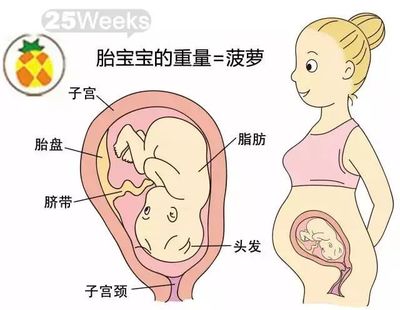 胎儿长头发
