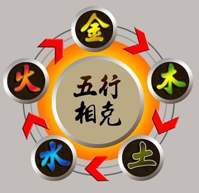 5楼五行属什么