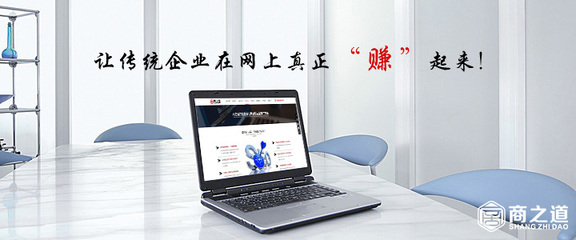 网站建设和SEO优化推广组合出击效果更好