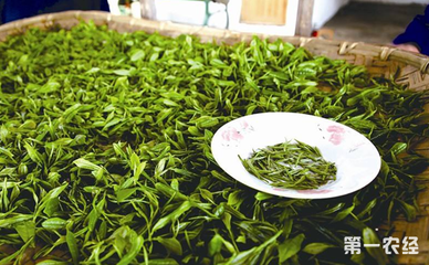网上怎么买茶叶