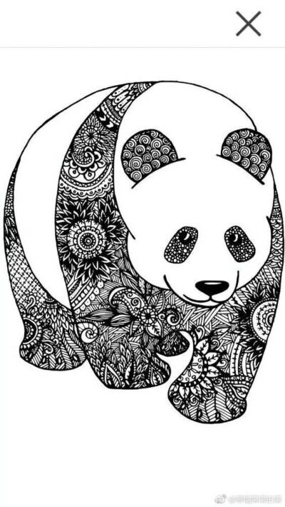 动物线描装饰画