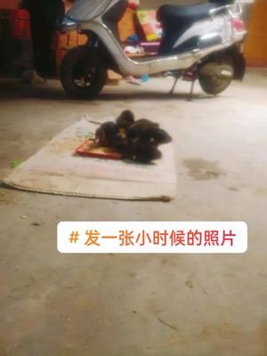 浅灰色水晶门橱柜