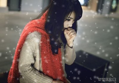 淡泊的网名