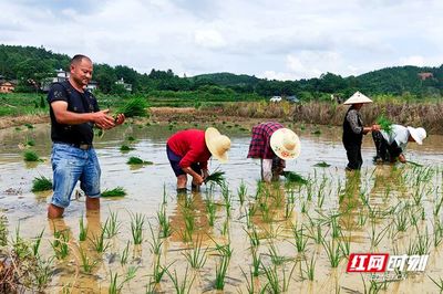 家庭农场起名