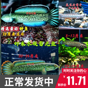 A Comprehensive Guide to <strong><mark>arowana</mark></strong> in Rawalpindi: Location, Distribution, Business Hours, Products, and More