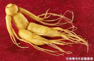 哺乳期吃人参对宝宝有影响吗