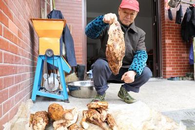 葛根粉加什么祛寒性