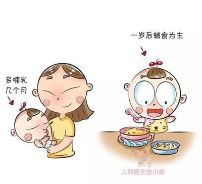 哺乳到几个月断奶最好