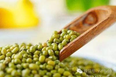 孕妇绿豆能吃吗