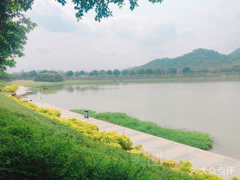 广州风云岭森林公园