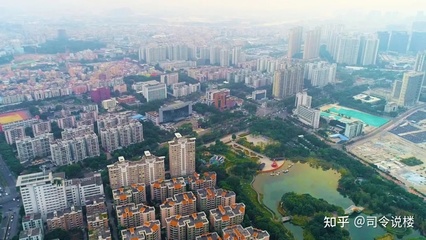 广州平洲