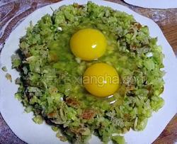 素圆菜做法大全家常