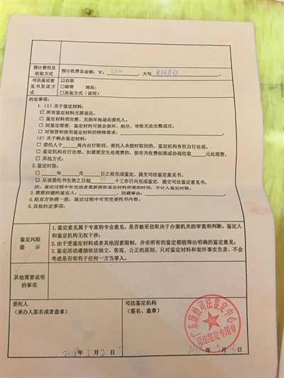 亲子鉴定结果样本