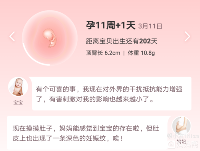 怀孕十一周有什么症状