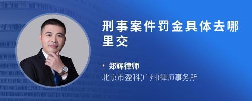 苏州刑事案件律师