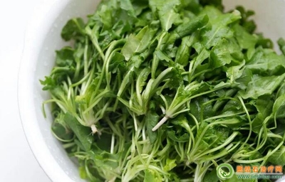 月子能吃荠菜吗