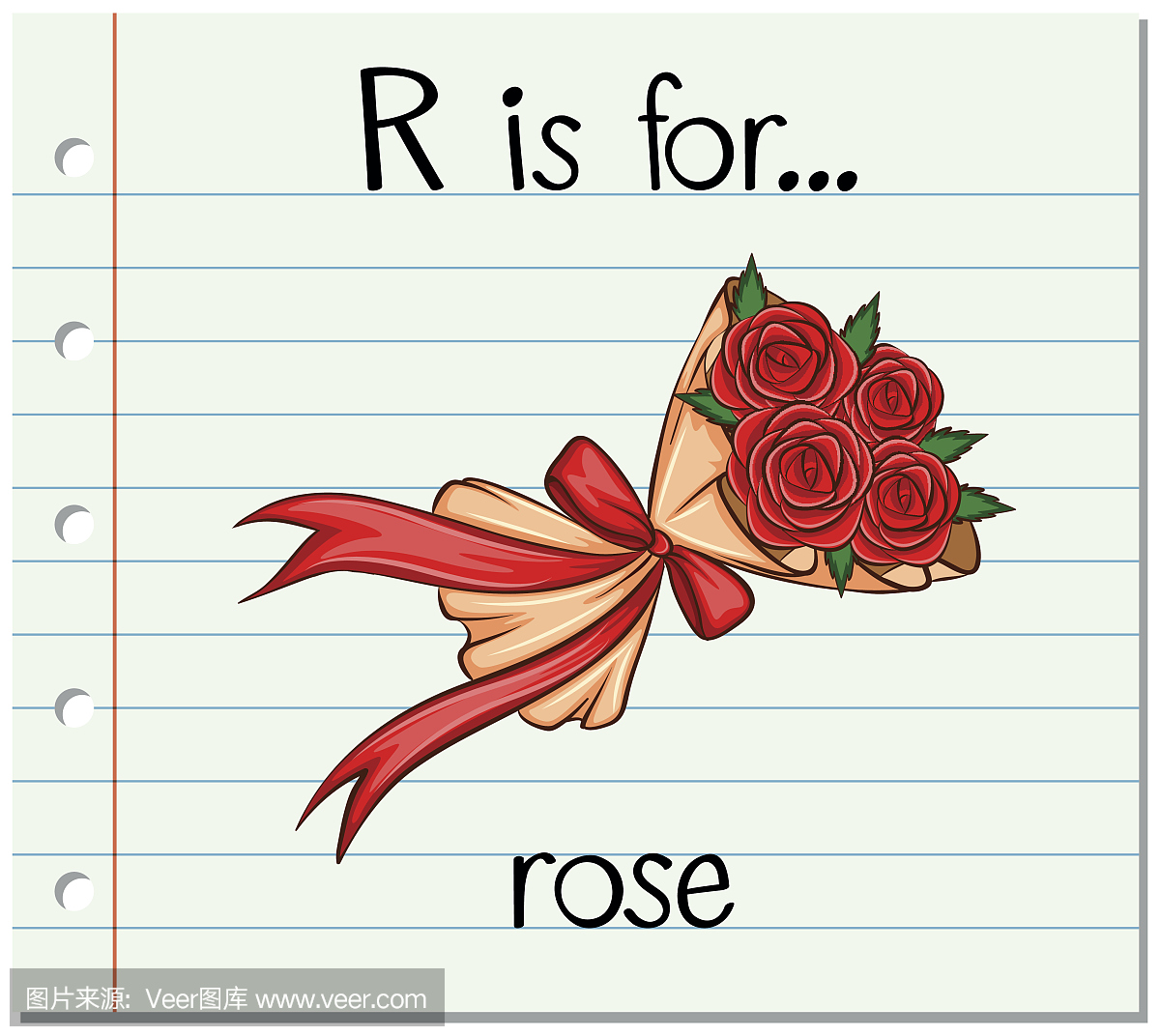 玫瑰怎么拼写