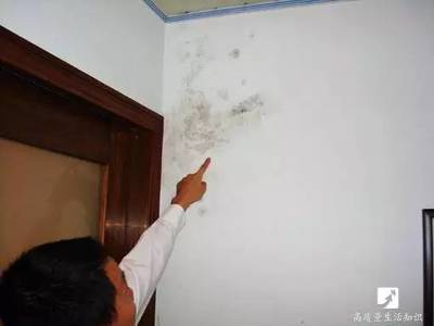 家里墙壁发霉怎么办