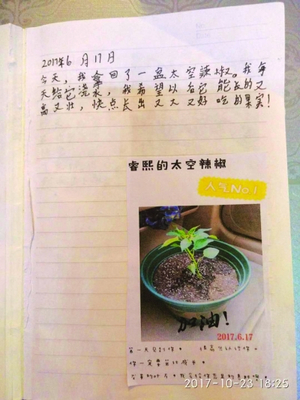 关于发现植物的日记怎么写