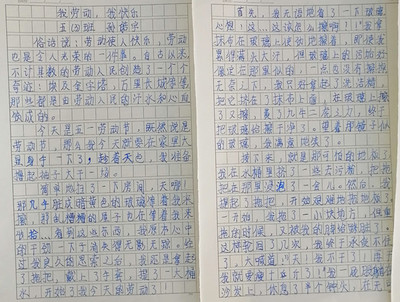 传承书香文化小学作文怎么写