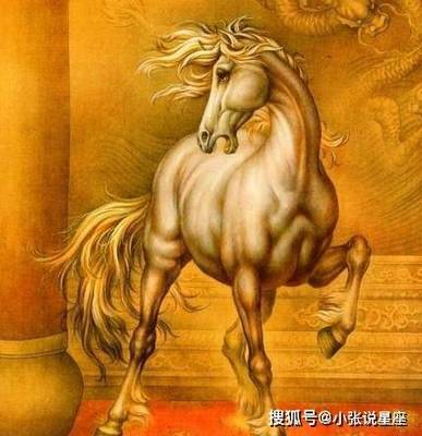 生肖马和生肖鸡