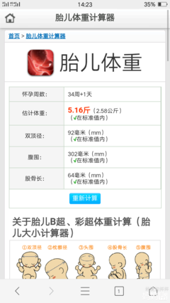 胎儿估算体重计算器