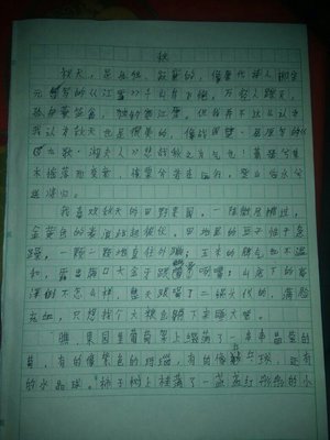 我在作文怎么写