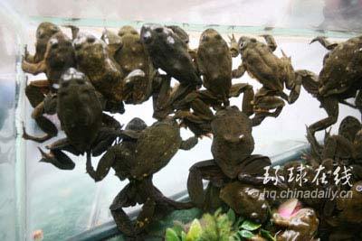 瓷砖美缝橱柜下面需要做吗