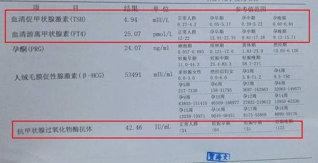 甲状腺激素高影响怀孕吗