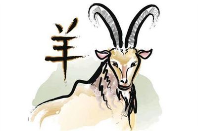 属羊和什么最配