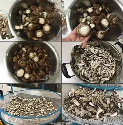 自制香菇粉保质期多久