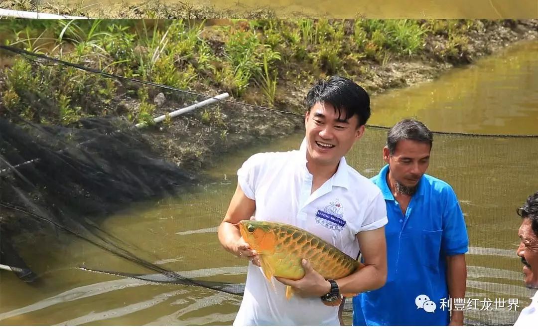 連山區(qū)興工街博雅水族用品批發(fā)商行（連山區(qū)興工街博雅水族用品批發(fā)商行號）