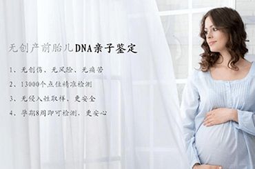 怀孕6个月可以做亲子鉴定吗