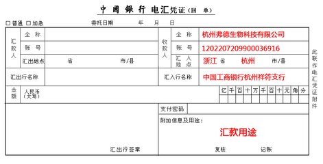 什么叫开户支行名称