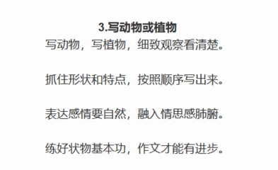 写动物一段话怎么写呢