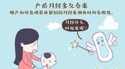 出月子就来月经