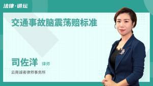 脑震荡赔偿标准