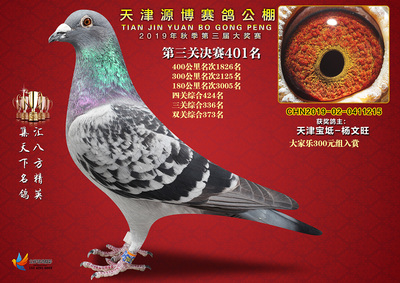 重庆祛痘痘到朝天门问选