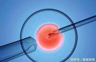 试管宝宝的寿命有多长