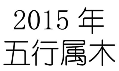 2016年是什么命
