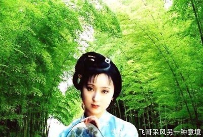 林有什么寓意