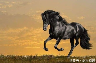 属马和属虎婚姻相配吗