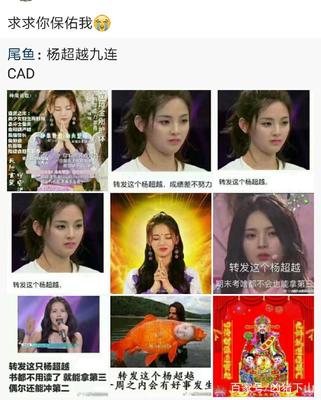 杨超越