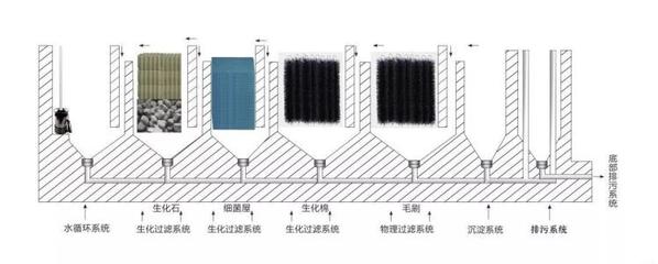鱼池过滤系统设计图