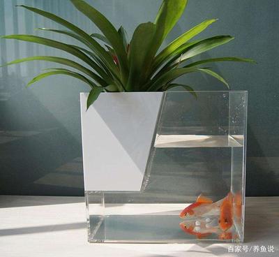 魚缸凈水器品牌排行（魚缸凈水器品牌排行榜） 觀賞龜/鱉飼料