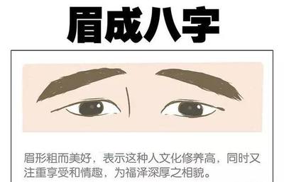 眉毛与命运