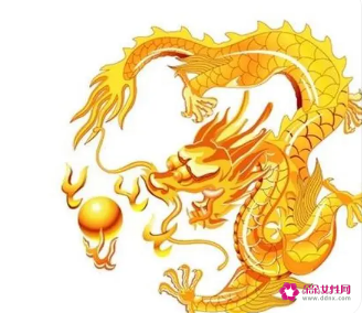 男属猴女属龙相配吗