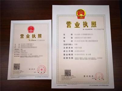 香港公司法定代表人