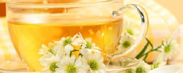 一岁宝宝能喝菊花茶吗
