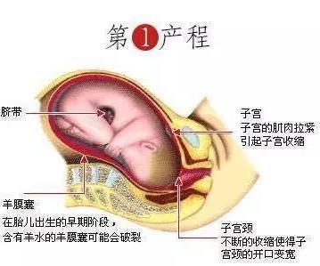 男人蛋蛋总是出汗是怎么回事